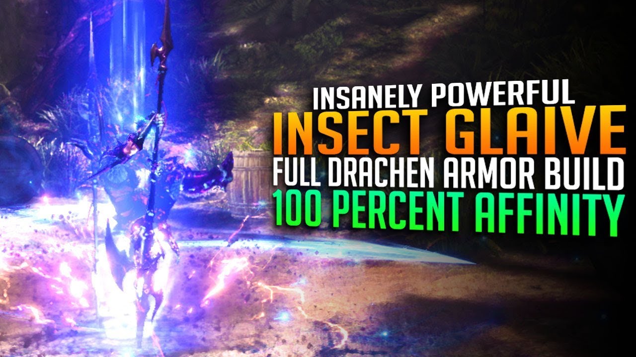 High Dmg Insect Glaivce Build
